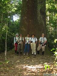 The whole gang in front of a large Brazilnut tree.