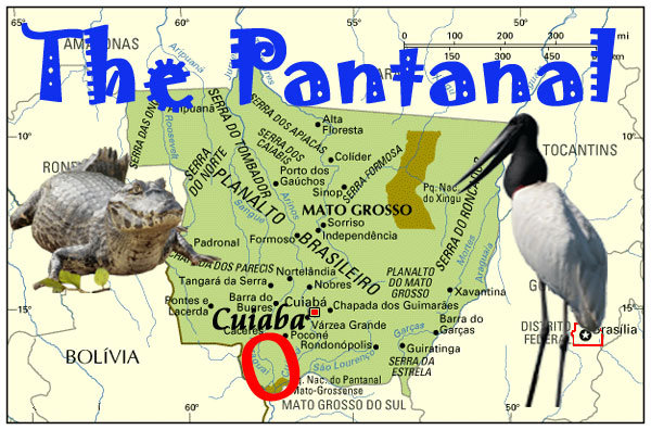 Go to Pantanal introduction page.