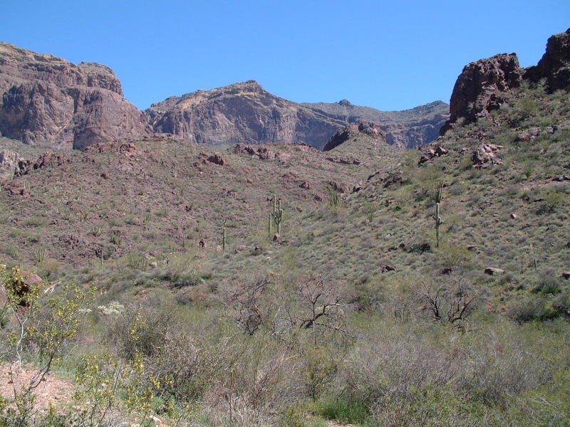 The peak just left of center is Mount Ajo, elevation 4808 feet, from near the trail head at less than 2400 feet.