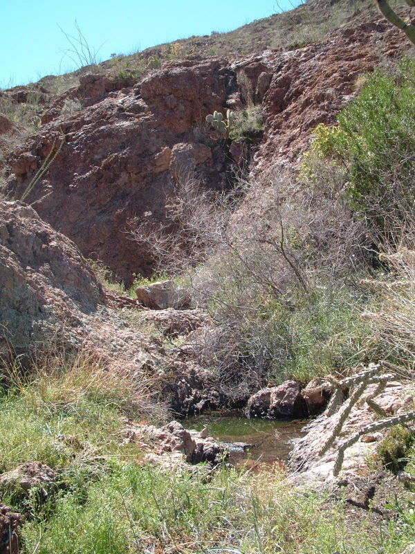 The spring where we had lunch.