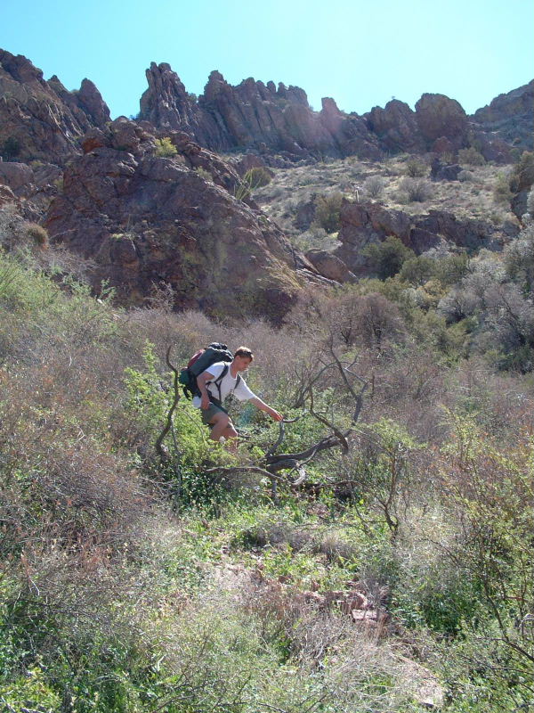 This was a relatively open section of our route down Arch Canyon!  In many places, it was difficult to see more than 15 meters because the shrubs and undergrowth were so thick.  This was truly brutal terrain.