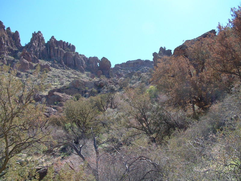 Another view of what we hiked through, looking up Arch Canyon