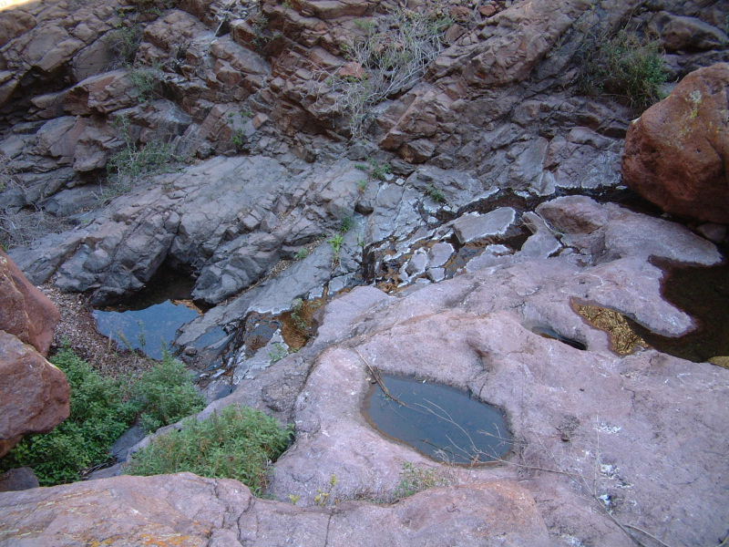 One of a half a dozen or so small springs in Arch Canyon.