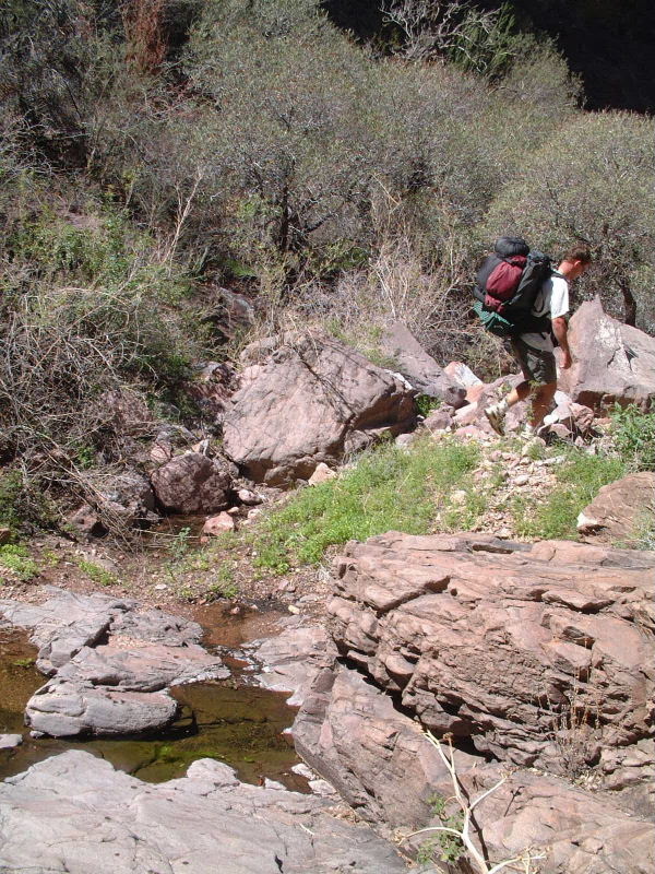 Jeff leaves another small spring behind in our relentless and seemingly endless, but unbelievably gorgeous hike down Arch Canyon.