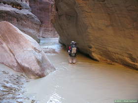 Brian hiking up Paria Canyon on the way to White House Trailhead.