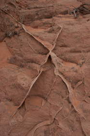 X marks the spot on this sandstone formation near upper Buckskin Gulch