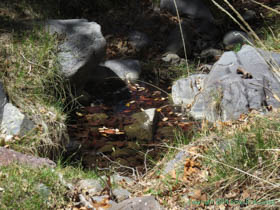 A nice clean water source on Arizona Trail Passage 1.