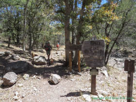 Jerry and Cheetah come down out of the high country of the Huachuca Mountains on Arizona Trail Passage 1.