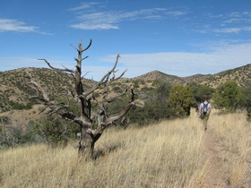 hiking along the rolling hills of AZT Passage 2.