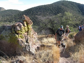 Jerry, Cheetah. Raqie; amd Shaun hiking on AZT Passage 2.