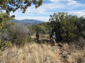 Shaun, Raquel, Cheetah and Jerry hiking on AZT Passage 2.