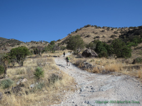 Cheetah and Jerry hiking along AZT Passage 4.