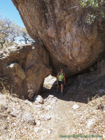 Cheetah passing under some massive boulders along AZT Passage 4.