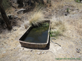 A water trough on AZT Passage 4.
