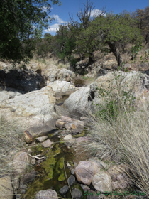 A small stream along AZT Passage 4.