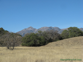 The Santa Rita Mountains from AZT Passage 5.