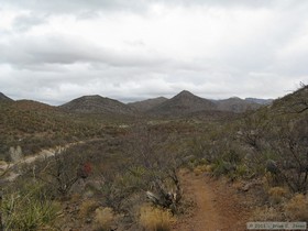 Looking up Posta Quemada Wash from the Arizona Trail, Passage 8