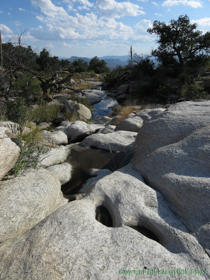 A beautiful stream flows over the bedrock of the Rincon Mountains.