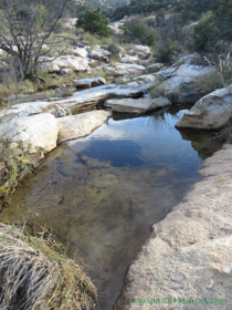 A stream flows over a bedrock channel in the Rincon Mountains.