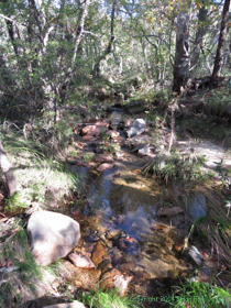 Chimenea Creek near Grass Shack Campground.