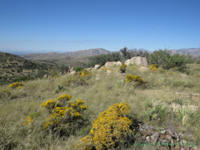 Hiking in the gap between the Rincon Mountains and the Santa Catalina Mountains.