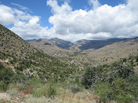 An expansive view of the lower elevations of the Santa Catalina Mountains.