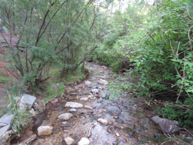 Upper Sabino Creek at Marshall Gulch.