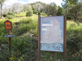 The beginning of the Oracle Ridge Trail portion of the AZT.
