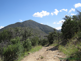 Looking back up into the high country of the Santa Catalina Mountains.