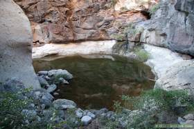 A pool and seep in Horse Camp Canyon