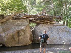 Brian D. checks out some flood debris deposited on top of some massive boulders.