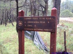 The sign for Mormon Ridge Trail