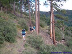 The group moves along Mormon Ridge Trail