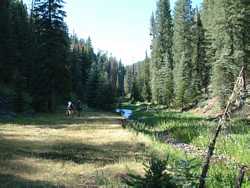 There were many nice open meadows like this in the upper part of the creek.
