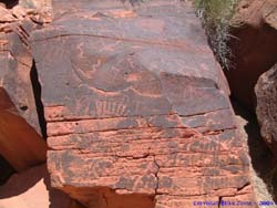 Petroglyphs on a fallen boulder.