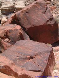 Petroglyphs on some fallen boulders.