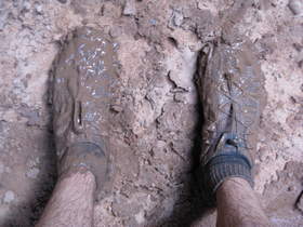 Please don't step on my new mud shoes.