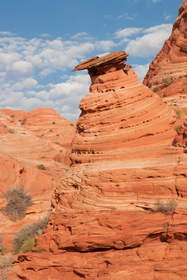 Sandstone formation in Coyote Buttes North.