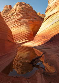 A tinaja near the Wave in Coyote Buttes North.