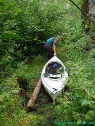 Brian dragging the yak over a portage trail.