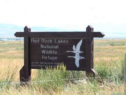 At long last, we reached Red Rock Lakes NWR.