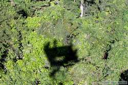 The tower platform casting a shadow on the forest canopy.