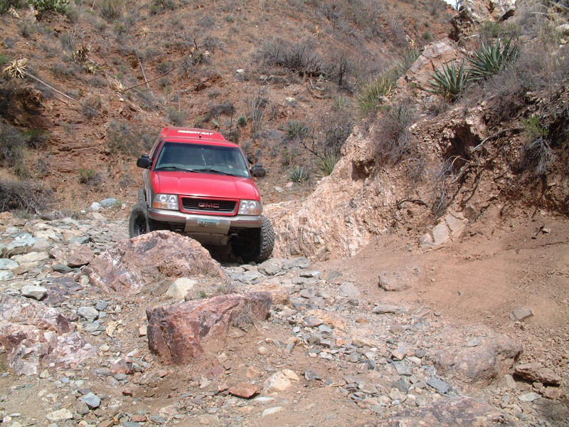 Wolfie approaches one of the first obstacles