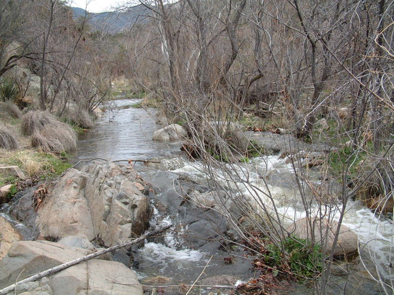 Canada del Oro creek (which becomes a river further downstream)