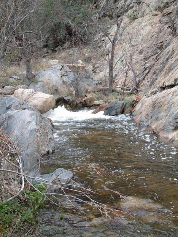 A small waterfall on our hike upstream.