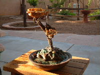 Picture of fountain.
